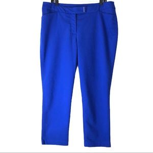 Investments ankle pants
